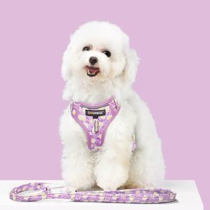 Pet Supplies | Harness Dog Leash Sets Adjustable Lengths Reflective Design Breathable Mesh Dogs Collar – Floral Pollen Pet Supplies Floral Pollen